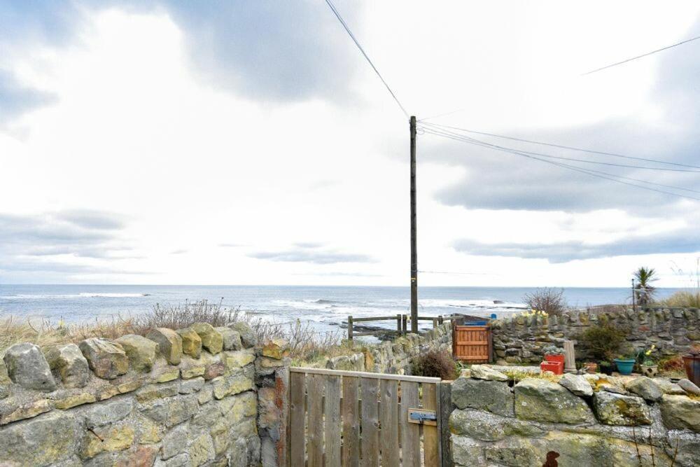 Creel Cottage アンブル エクステリア 写真